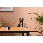 Petcube Play 2 Action Camera HD (720p) Μαύρη 1257665 - Image 12