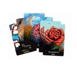 Επιτραπέζιο Παιχνίδι Tulip & Rose για 3-5 Παίκτες 10+ Ετών Kaissa KA113940 - Image 3