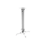 Techly Βάση Projector Οροφής ICA-PM-18M με Μέγιστο Φορτίο 13kg Ασημί 309661