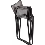 Coleman Καρέκλα Παραλίας Γκρι 62x53x78εκ. 2000038340 - Image 3
