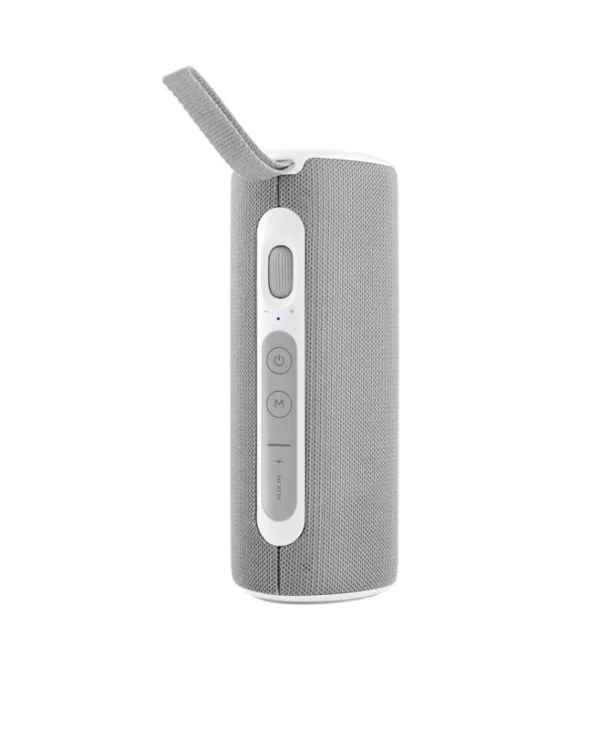 JVC Ηχείο Bluetooth 24W Γκρι XS-E423G