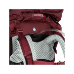 Osprey Aura Ag Lt 65 Ορειβατικό Σακίδιο 65lt Μωβ Expedition OS3036/476/WXS/S - Image 12