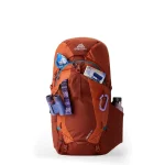 Gregory Ορειβατικό Σακίδιο 50lt Αδιάβροχο Καφέ Trekking 527593 - Image 4