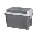Teesa Φορητό Ψυγείο Θερμοηλεκτρικό 35lt 12V Γκρι TSA5006.1