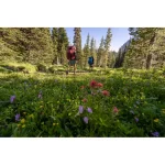 Osprey Atmos AG 50 Ορειβατικό Σακίδιο 50lt Αδιάβροχο Μαύρο S/M Trekking OS3035/1/S/M - Image 7