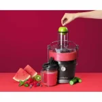 NutriBullet Αποχυμωτής 800W Γκρι 0C22500001 - Image 5