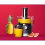 NutriBullet Αποχυμωτής 800W Γκρι 0C22500001 - Image 6