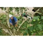 Bosch UniversalChainPole 18 Τηλεσκοπικό Κονταροπρίονο Μπαταρίας 18V 2.5Ah με Λάμα 20cm Συνολικού Μήκους 260cm και Βάρους 3.6kg 06008B3100 - Image 10