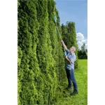 Gardena Ths 42/18v P4a Μπορντουροψάλιδο Μπαταρίας 18V Τηλεσκοπικό με Μήκος Λάμας 42cm 14732-20 - Image 6