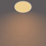Philips Στρογγυλό Χωνευτό LED Panel 36W με Θερμό Λευκό Φως 55εκ. 8719514327146 - Image 2