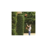 Black & Decker PH5551-QS Ηλεκτρικό Μπορντουροψάλιδο 550W Τηλεσκοπικό με Μήκος Λάμας 51cm - Image 4
