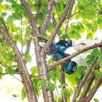 Makita Κλαδευτικό Αλυσοπρίονο Μπαταρίας Solo Brushless 18V 1.6kg με Λάμα 10cm DUC101Z - Image 4