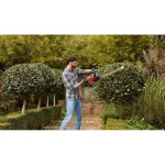 Black & Decker BEHTS301 Ηλεκτρικό Μπορντουροψάλιδο 500W με Μήκος Λάμας 50cm BEHTS301-QS - Image 3