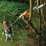Black & Decker PS7525 Τηλεσκοπικό Κονταροπρίονο Ρεύματος 800W Συνολικού Μήκους 270cm και Λάμα 25cm PS7525-QS - Image 6