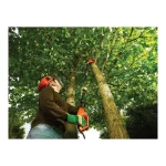 Black & Decker PS7525 Τηλεσκοπικό Κονταροπρίονο Ρεύματος 800W Συνολικού Μήκους 270cm και Λάμα 25cm PS7525-QS - Image 10