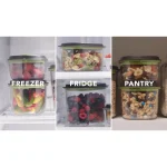 FoodSaver Δοχείο Φαγητού Πλαστικό Διάφανο 3lt FFC024X - Image 3