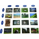Επιτραπέζιο Παιχνίδι Pictures για 3-5 Παίκτες 8+ Ετών (EN) Pd Verlag PDV09723 - Image 3