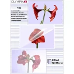 Olympia Πλαστικοποιητής Επιτραπέζιος για A5 125 microns 9177 - Image 2