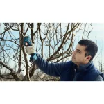 Bosch Ψαλίδι Κλαδέματος Μπαταρίας 12V Solo 06019K1020 - Image 3