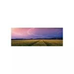 Summer Thunderstorm Puzzle 2D 500pcs 12000685 - Image 2