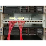 Equip F/FTP Cat.6a (Gigabit) Καλώδιο Δικτύου Ethernet 0.25m Κόκκινο 606142 - Image 4