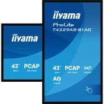 Iiyama T4329AS-B1AG Public Display 4K UHD 43" - Image 5