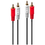 Lindy Cable 2x RCA male - 2x RCA male 20m 35666 - Image 2