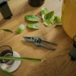 Fiskars 1075317 Σετ Εργαλείων Κήπου - Image 2