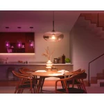 Philips Smart Λάμπα LED 11.8W για Ντουί E27 και Σχήμα A67 Θερμό Λευκό 1600lm Dimmable 929003853601 - Image 5