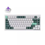 Keychron Q1H-P1 HE QMK Q1H-P1 Ασύρματο Gaming Μηχανικό Πληκτρολόγιο 75% με Gateron Double-Rail Magnetic Purple διακόπτες και RGB φωτισμό (Αγγλικό US) Λευκό