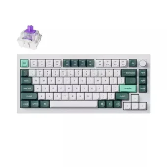 Keychron Q1H-P1 HE QMK Q1H-P1 Ασύρματο Gaming Μηχανικό Πληκτρολόγιο 75% με Gateron Double-Rail Magnetic Purple διακόπτες και RGB φωτισμό (Αγγλικό US) Λευκό