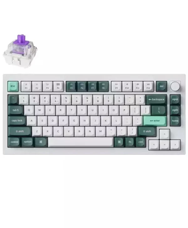 Keychron Q1H-P1 HE QMK Q1H-P1 Ασύρματο Gaming Μηχανικό Πληκτρολόγιο 75% με Gateron Double-Rail Magnetic Purple διακόπτες και RGB φωτισμό (Αγγλικό US) Λευκό