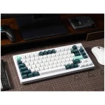 Keychron Q1H-P1 HE QMK Q1H-P1 Ασύρματο Gaming Μηχανικό Πληκτρολόγιο 75% με Gateron Double-Rail Magnetic Purple διακόπτες και RGB φωτισμό (Αγγλικό US) Λευκό - Image 2