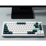 Keychron Q1H-P1 HE QMK Q1H-P1 Ασύρματο Gaming Μηχανικό Πληκτρολόγιο 75% με Gateron Double-Rail Magnetic Purple διακόπτες και RGB φωτισμό (Αγγλικό US) Λευκό - Image 8