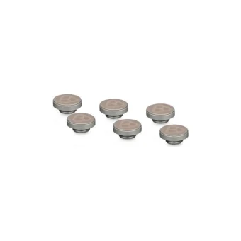 Thermal Grizzly Grizzly Deltamate Plug Pack Of 6 Matt Nickel (tg-dm-fit-6209) Ασημί TG-DM-FIT-6209