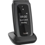 Gigaset GL795 Dual SIM Κινητό με Μεγάλα Κουμπιά Γκρι S30853-H1235-R101 - Image 4