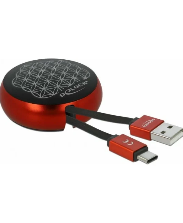 DeLock Retractable USB 2.0 Cable USB-C male - USB-A Μαύρο 0.92m 85819