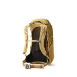 Gregory Ορειβατικό Σακίδιο 30lt Μπεζ Hiking 698222 - Image 2