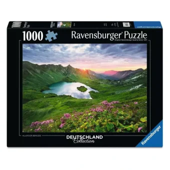 Puzzle 2D 1000pcs 12001768