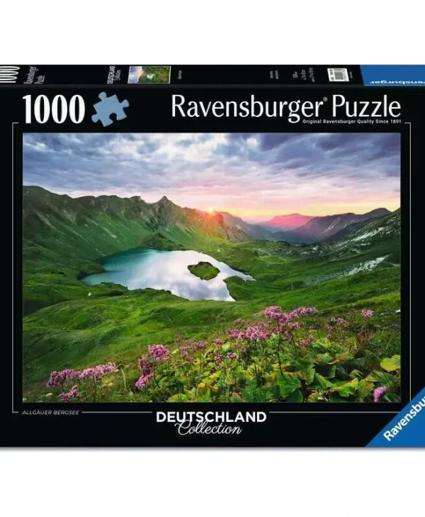 Puzzle 2D 1000pcs 12001768