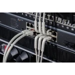 Digitus Direct Attach Copper Cat.6a (Gigabit) Καλώδιο Δικτύου Ethernet 3m Γκρι 10τμχ DK-1632-A-030B-10