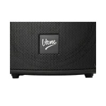 V-tone Ηχείο Karaoke με Ασύρματα Μικρόφωνα BQ12 GO MP3 Μαύρο 5908249829381