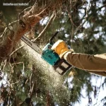 Makita Αλυσοπρίονο Μπαταρίας Solo Brushless 18V 3.5kg με Λάμα 30cm DUC306Z - Image 2