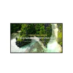 LG 75UL3Q-E Public Display LED 4K UHD 75" - Image 2