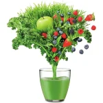 Sage Nutri Juicer Cold Αποχυμωτής 1250W Γκρι SJE430SIL2CEU1 - Image 7