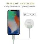 Native Union USB 2.0 Cable USB-C male - Lightning Sage 1.2m (BELT-CL-GRN-2-NP) - Image 5