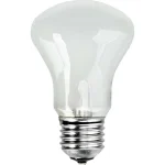 Elinchrom Adjsustment Light 196V 100W Ανταλλακτική Λάμπα Daylight 100W 23002
