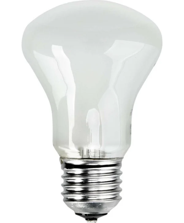 Elinchrom Adjsustment Light 196V 100W Ανταλλακτική Λάμπα Daylight 100W 23002