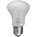 Elinchrom Adjsustment Light 196V 100W Ανταλλακτική Λάμπα Daylight 100W 23002 - Image 2