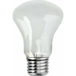 Elinchrom Adjsustment Light 196V 100W Ανταλλακτική Λάμπα Daylight 100W 23002 - Image 5